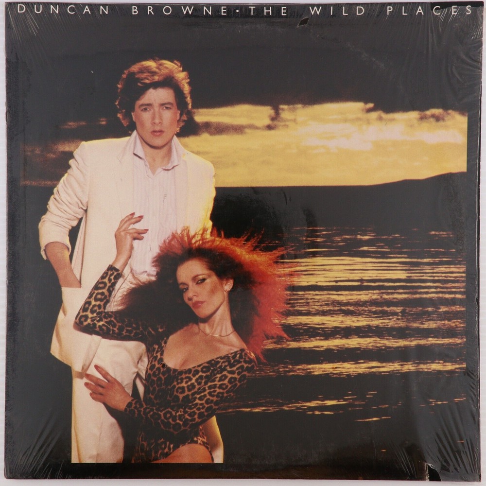 Duncan Browne – The Wild Places - 1978 Vinyl LP Record LA Pressing Sire SRK 6065